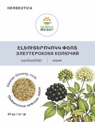 Էլեուտերոկոկկ փշոտ, արմատներ