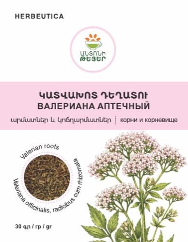 Կատվախոտ դեղատու, արմատներ