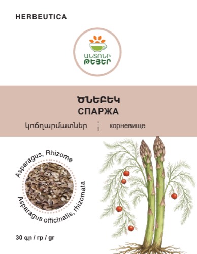 Ծնեբեկ դեղատու, արմատներ, կոճղարմատներ
