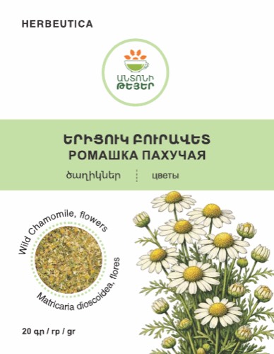 Երիցուկ բուրավետ
