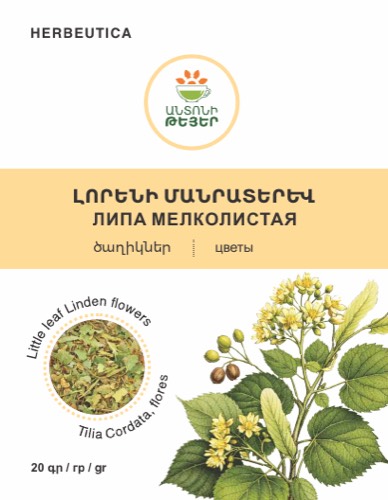 Լորենի մանրատերև, ծաղիկներ